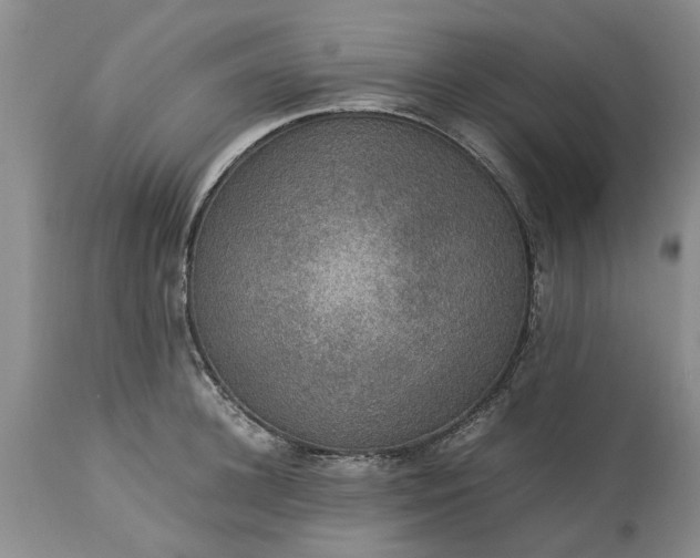 X0000113600948200910021738