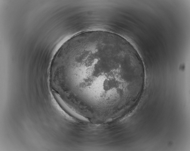 X0000113600949200910021738