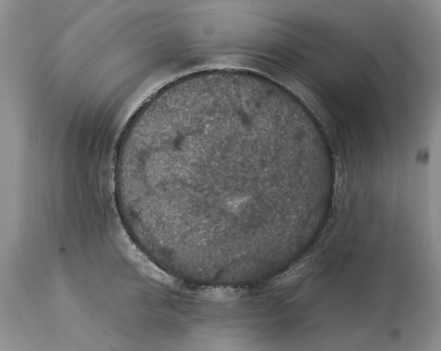 X0000113600950200910021738