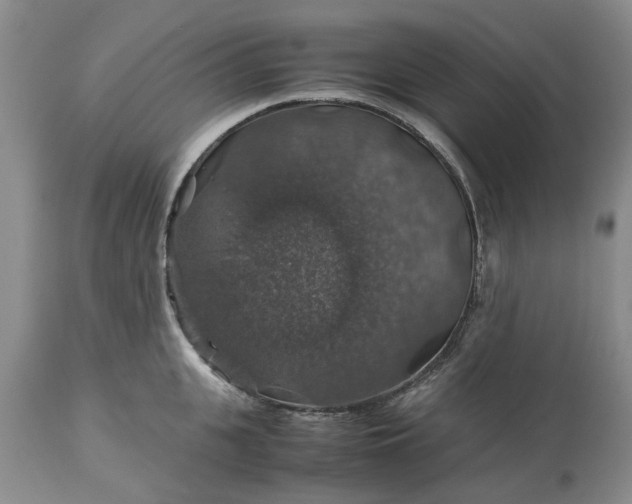 X0000113600951200910021738