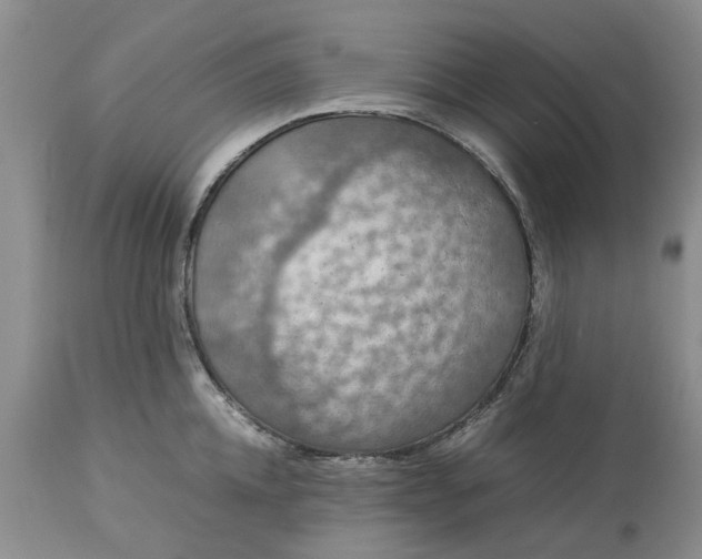 X0000113600952200910021738