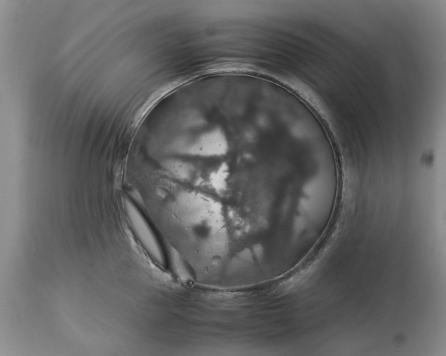 X0000113600953200910021738