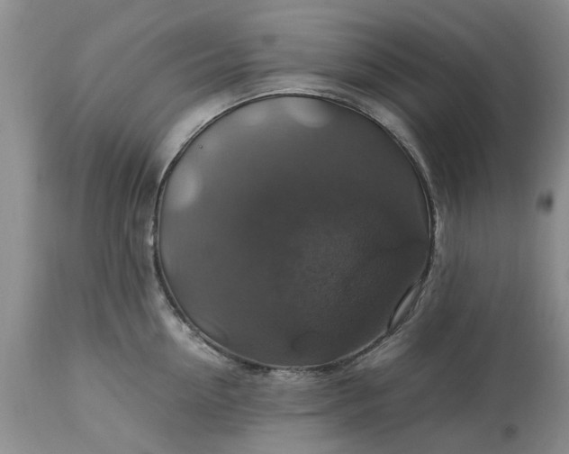 X0000113600954200910021738