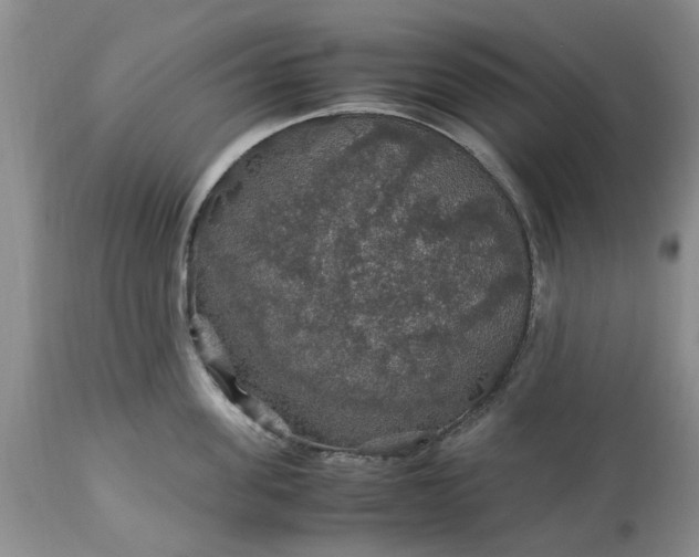 X0000113600955200910021738