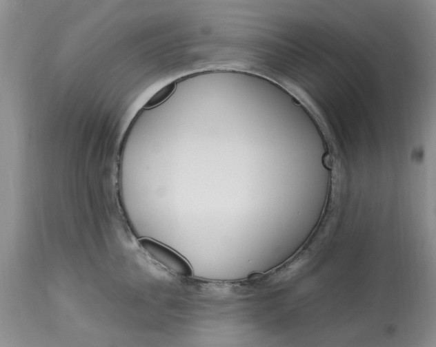 X0000113600956200910021738