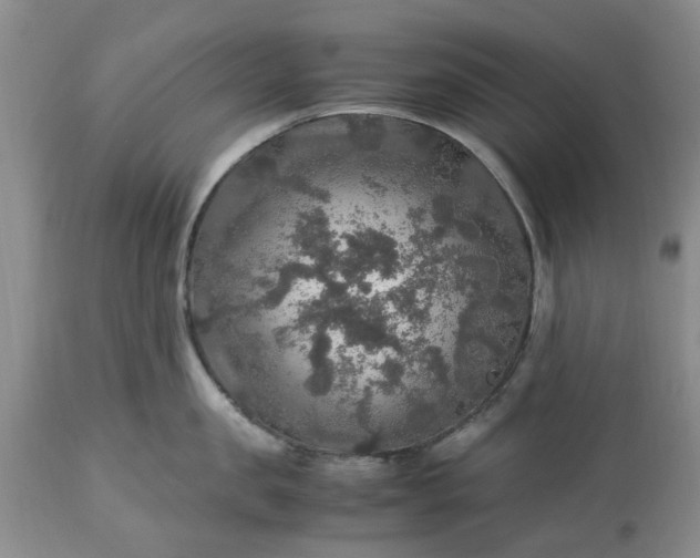 X0000113600957200910021738