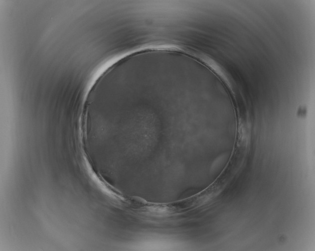 X0000113600959200910021738