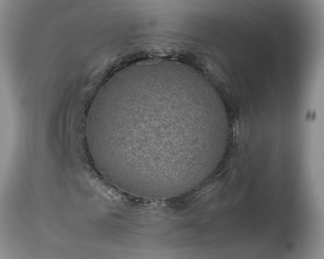 X0000113600961200910021737