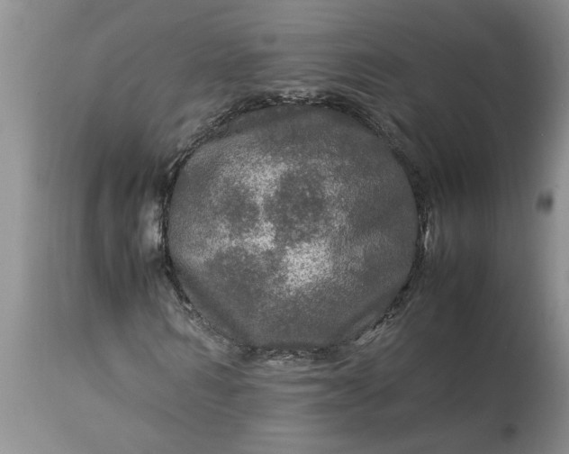 X0000113600962200910021737