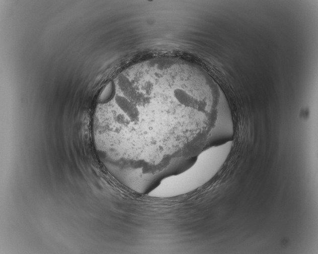 X0000113600964200910021737