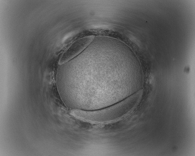 X0000113600965200910021737