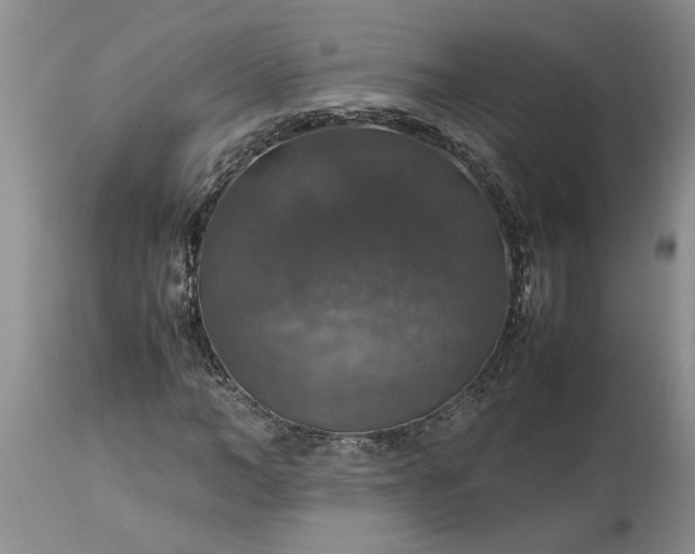 X0000113600966200910021737