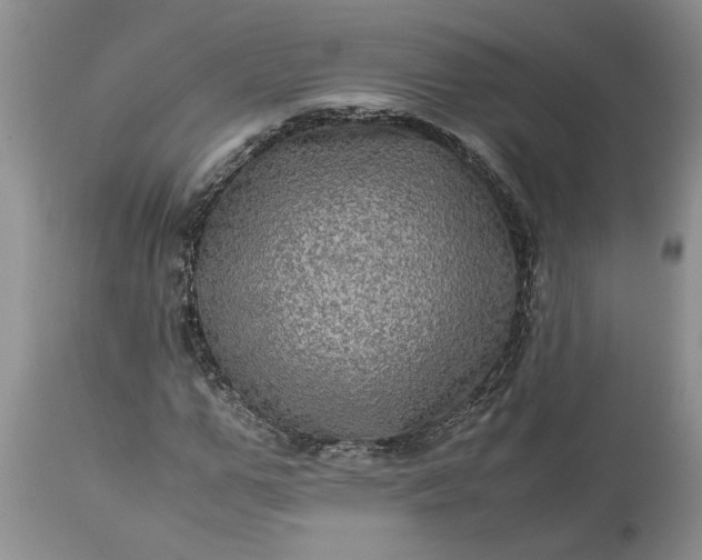 X0000113600967200910021737