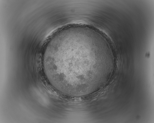 X0000113600968200910021737