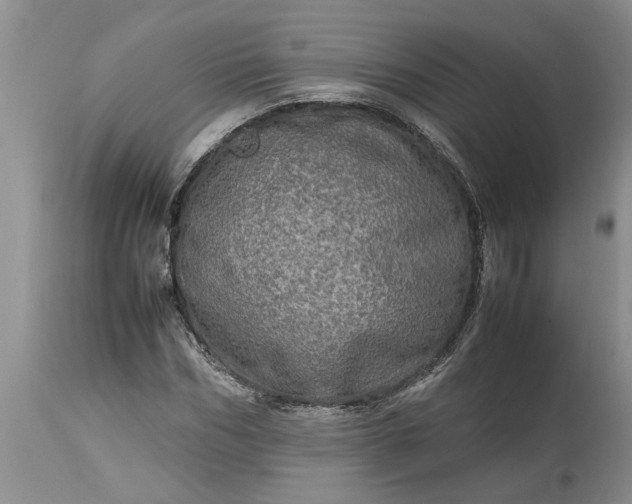 X0000113600970200910021737