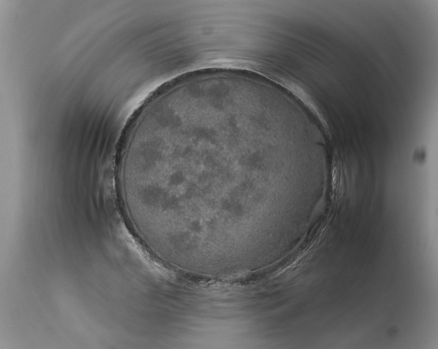 X0000113600972200910021737