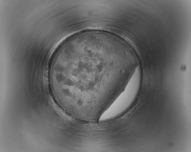 X0000113600976200910021737