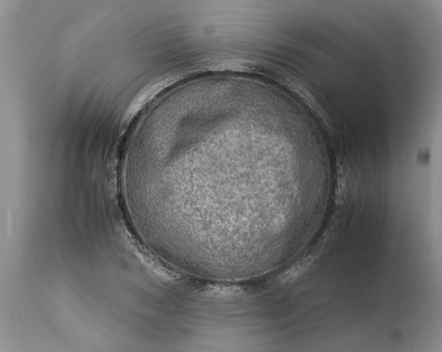 X0000113600978200910021737