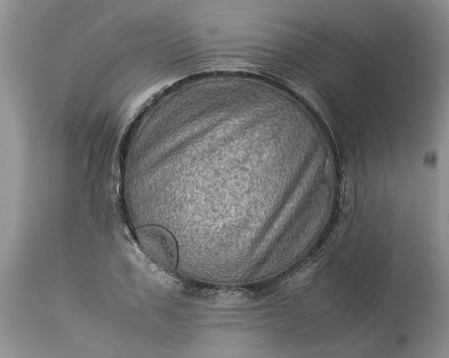 X0000113600979200910021737