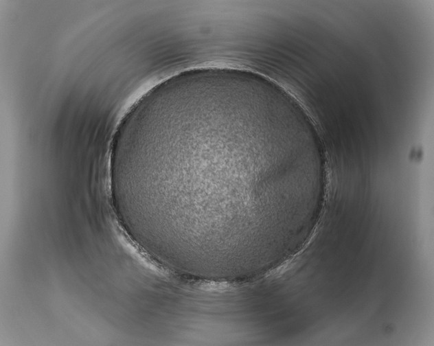 X0000113600982200910021737