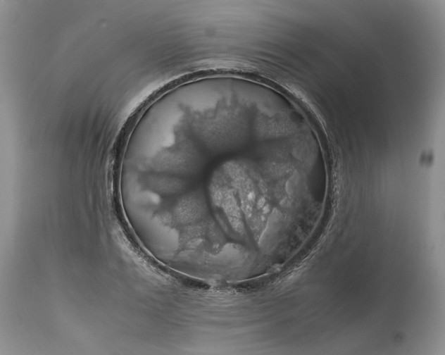 X0000113600983200910021737