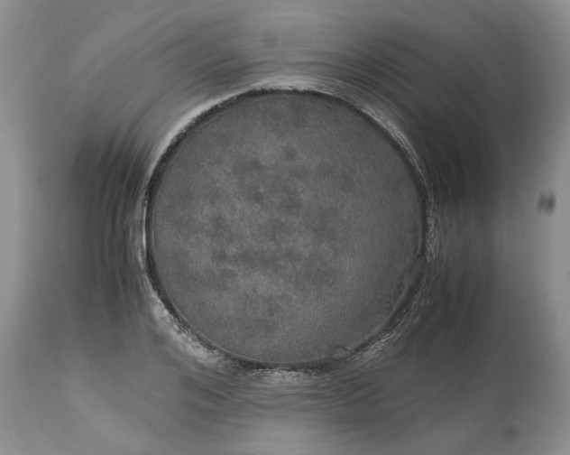 X0000113600984200910021737