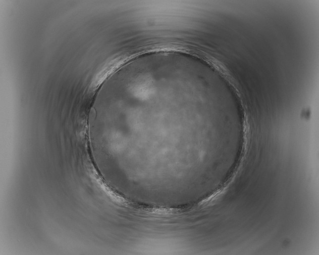 X0000113600985200910021737