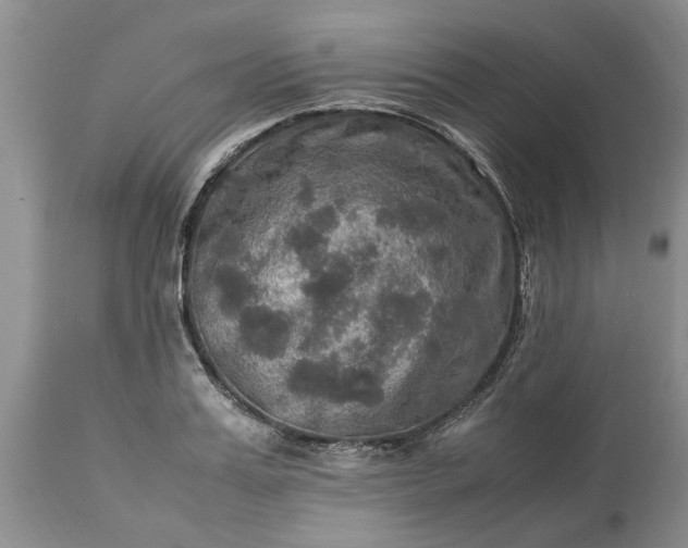 X0000113600987200910021737