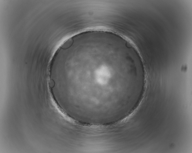 X0000113600989200910021737