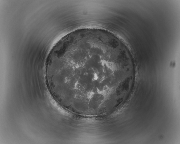 X0000113600990200910021737