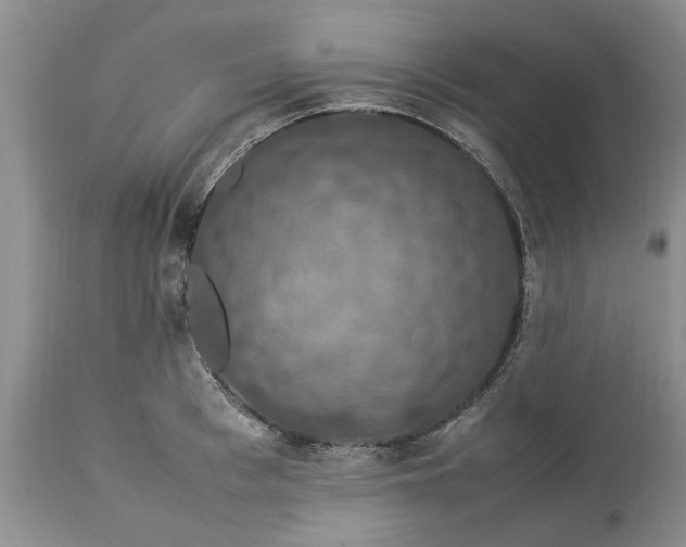 X0000113600993200910021737