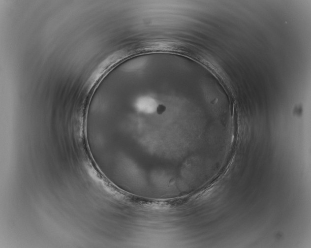 X0000113600994200910021737