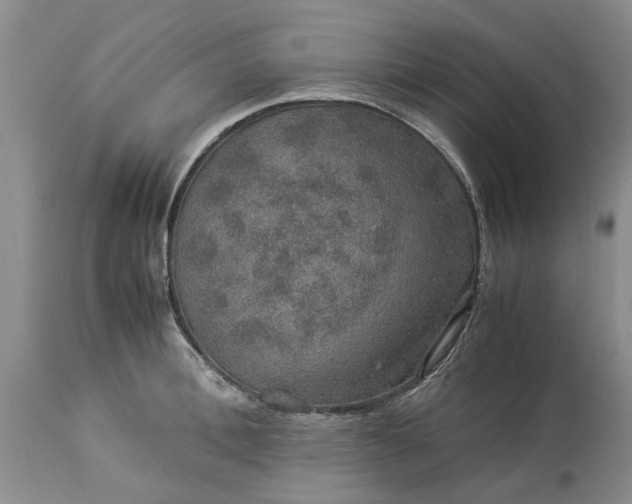 X0000113600996200910021736