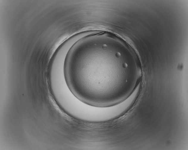 X0000113600997200910021736