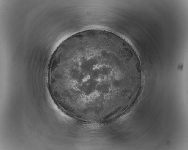 X0000113600999200910021736