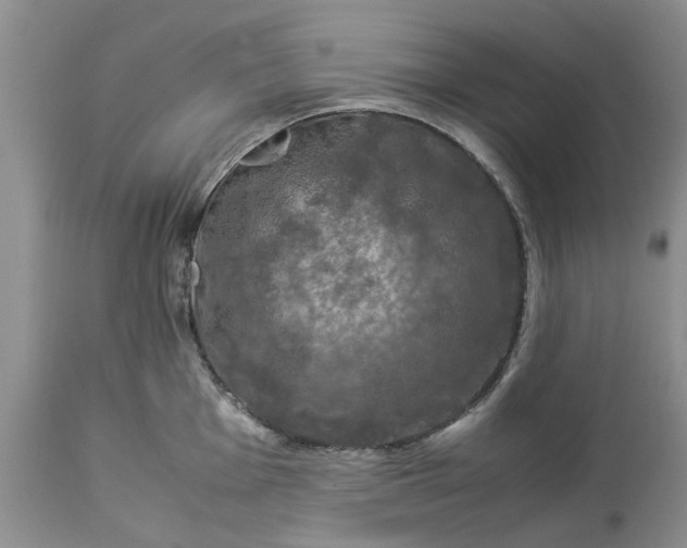 X0000113601001200910021736