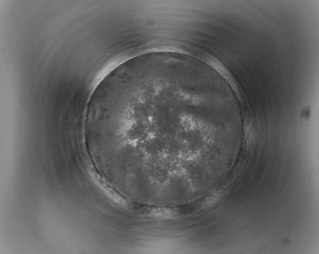 X0000113601002200910021736