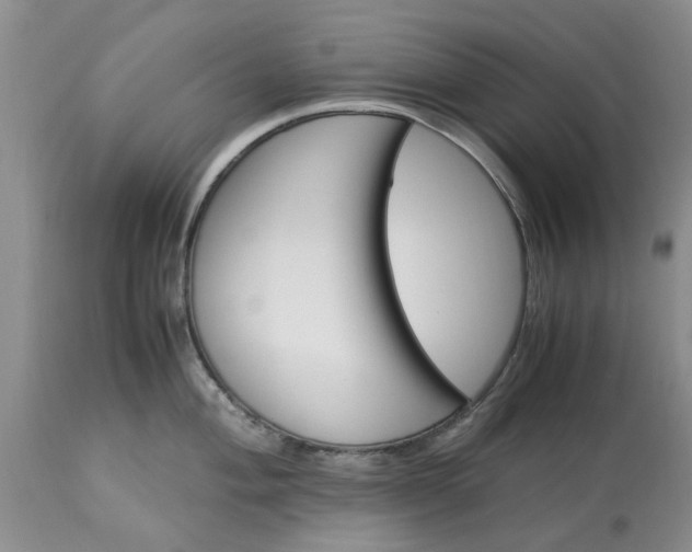 X0000113601004200910021736