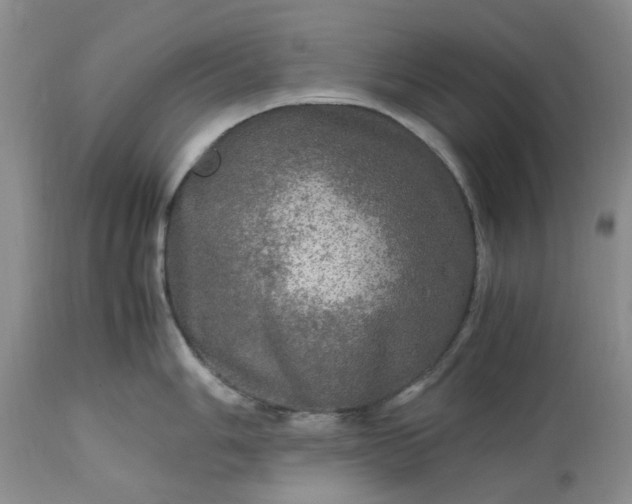 X0000113601006200910021736