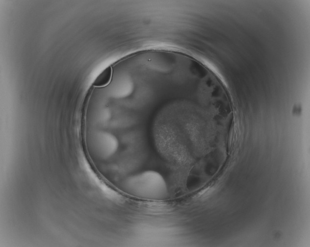 X0000113601007200910021736