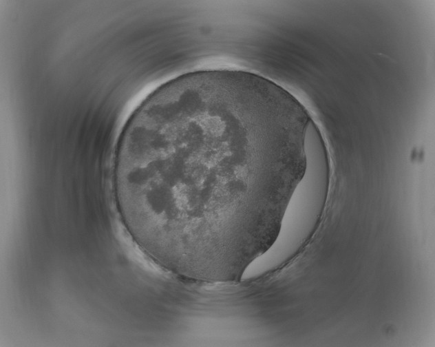 X0000113601008200910021736