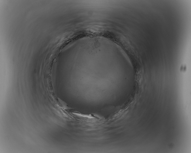 X0000113601009200910021736