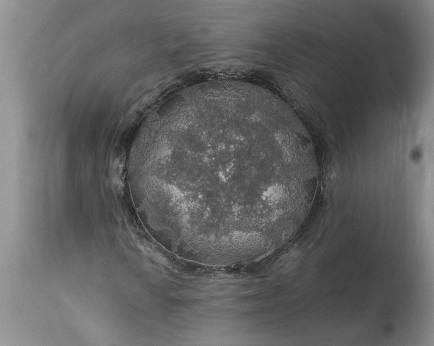 X0000113601010200910021736