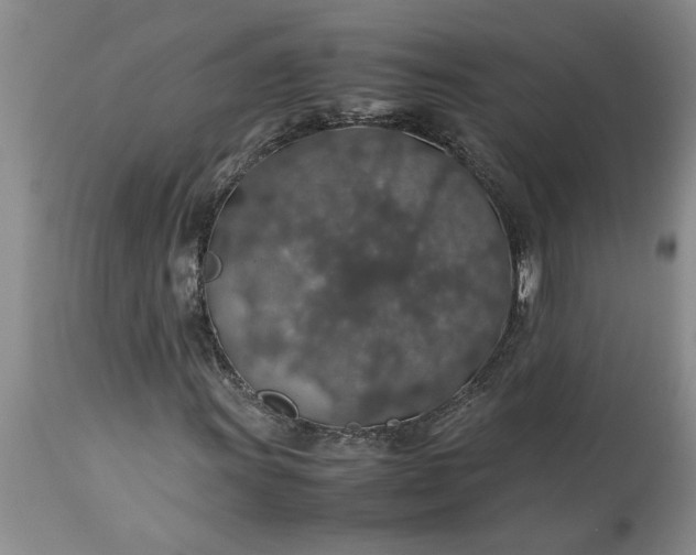 X0000113601011200910021736