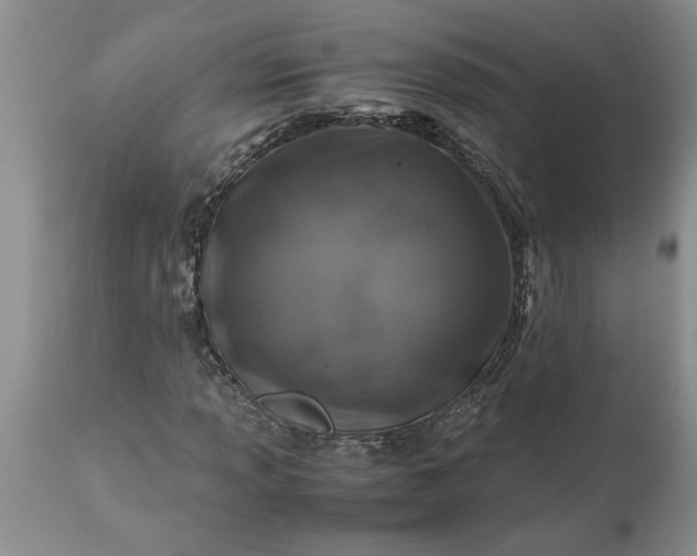 X0000113601013200910021736