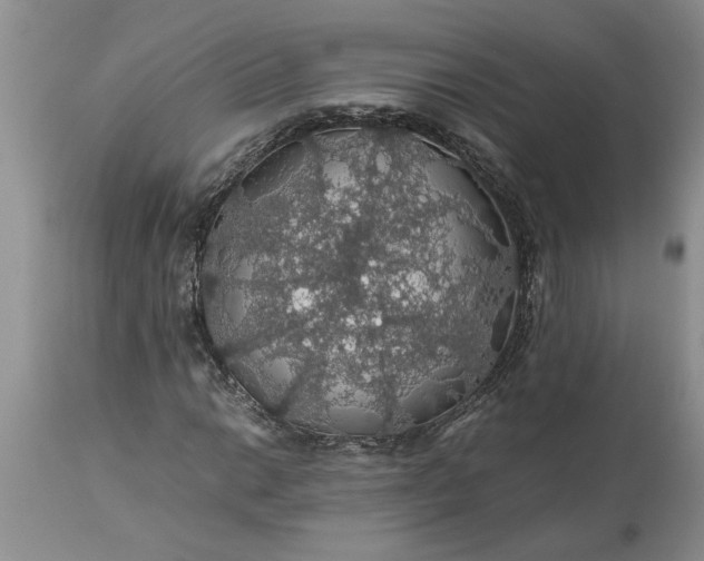 X0000113601014200910021736