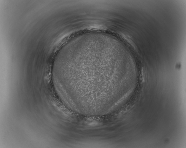 X0000113601015200910021736