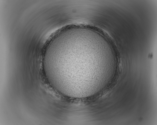 X0000113601016200910021736