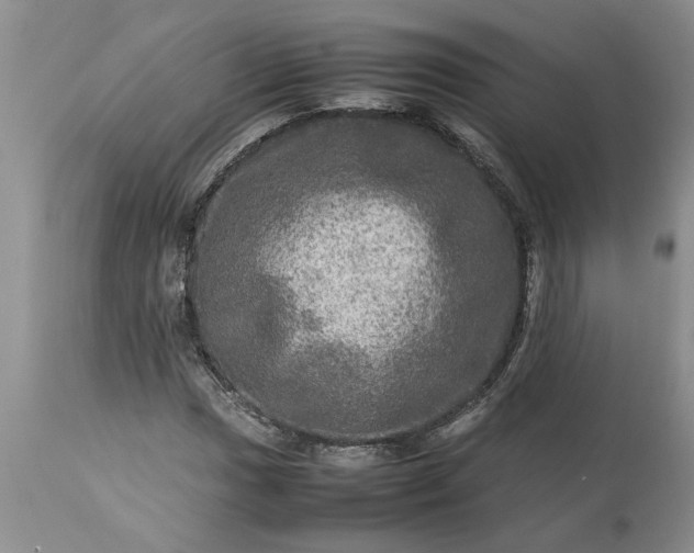 X0000113601017200910021736