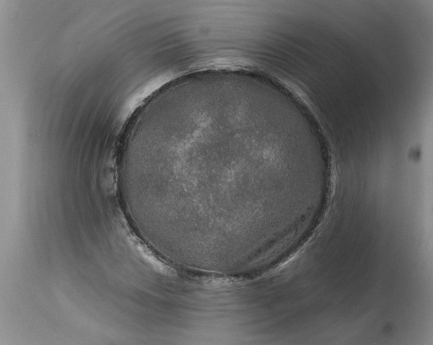 X0000113601018200910021736